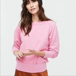 NWT Distressed sweatshirt